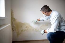 Mold Remediation for Vacation Homes in Twin Grove, IL